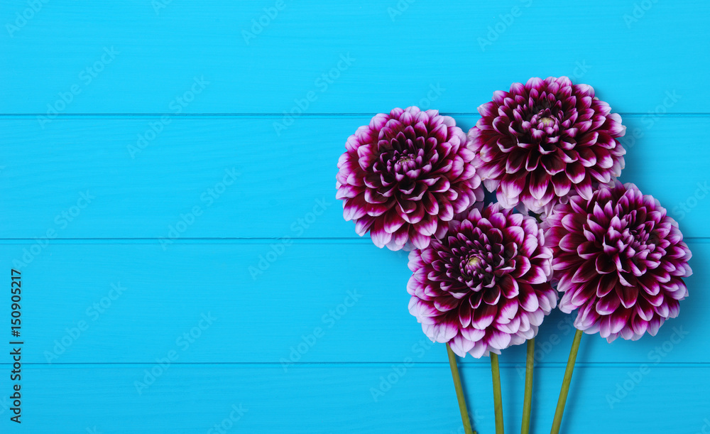  Flowers on blue painted wooden planks.