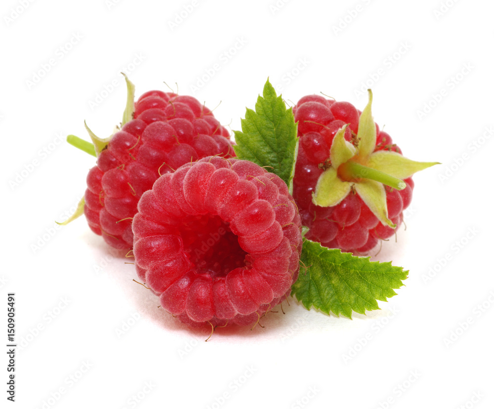 Raspberry with leaves