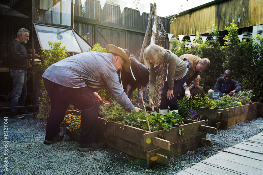 Group of people planting vegetable in greenhouse