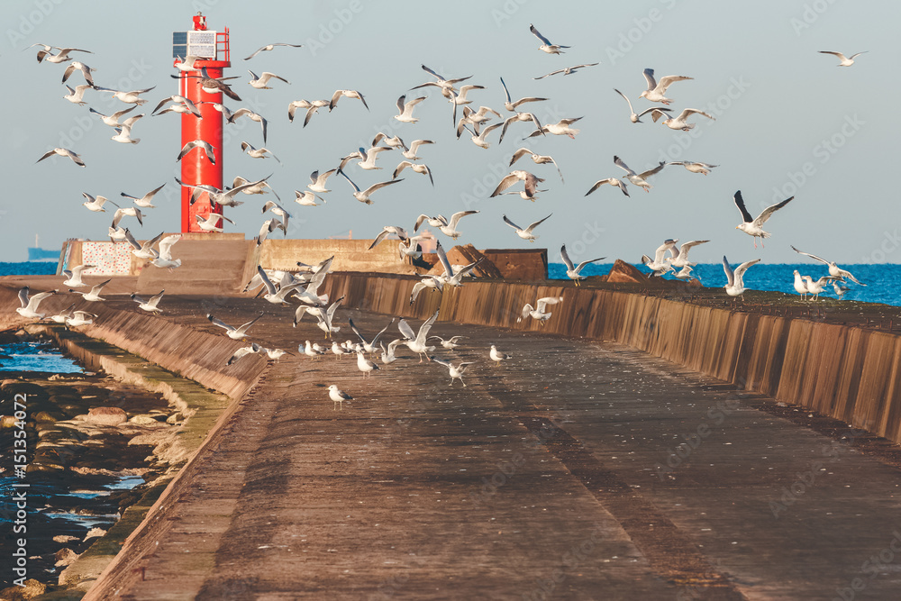 Seagulls against lighthouse