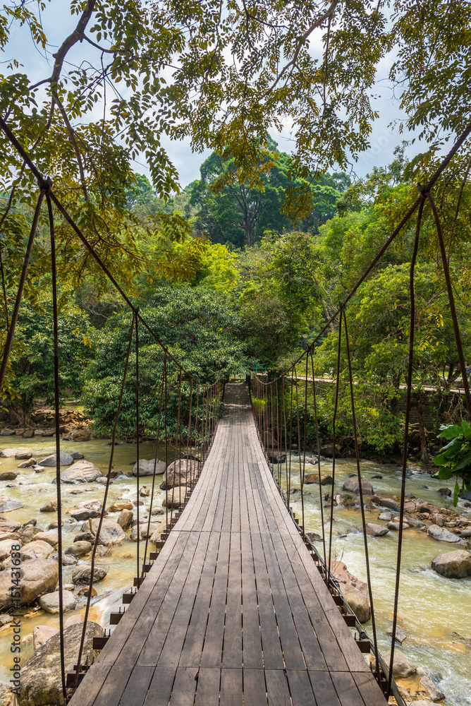 森林中的跨河吊桥