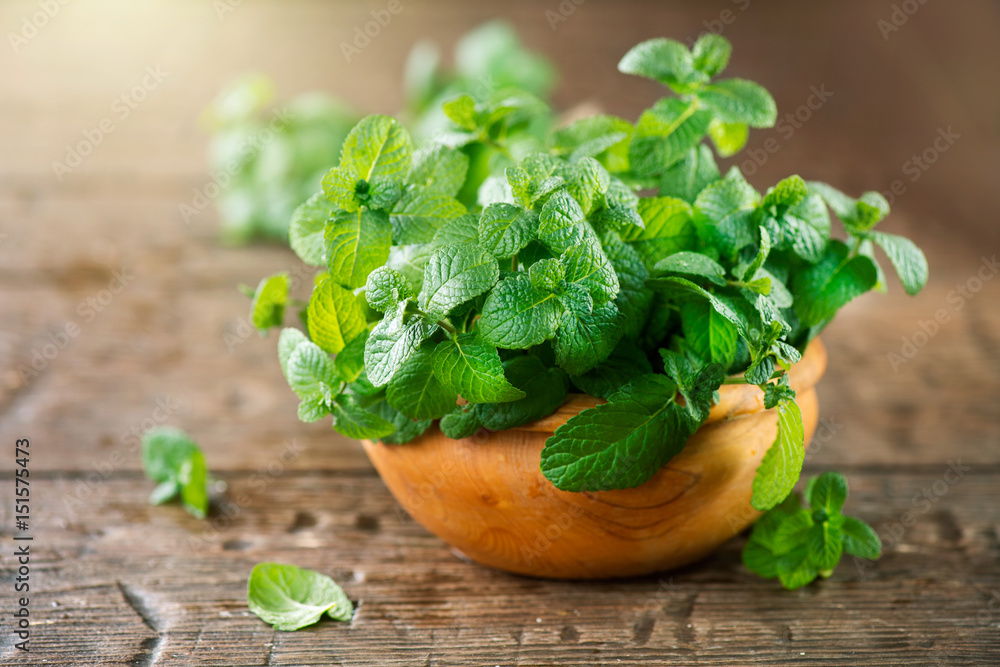 Mint. Bunch of fresh green organic mint leaf on wooden table closeup