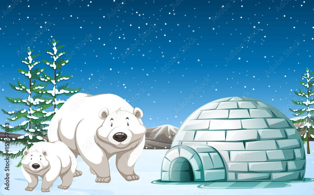 Polar bears standing near igloo at night