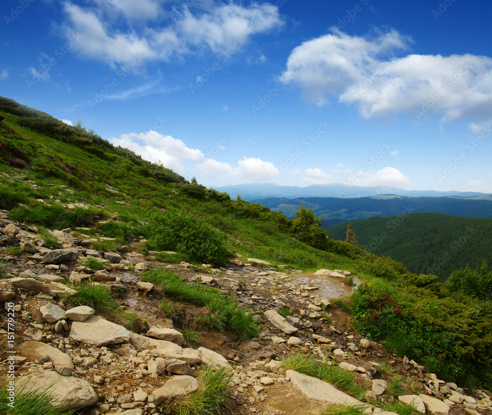 Mountain landscape in summer