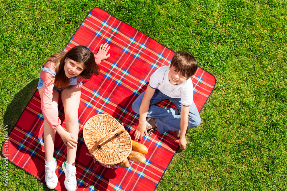 Cute kids ready for picnic in summer meadow