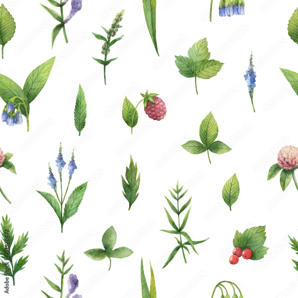 Hand drawn watercolor seamless pattern of herbs and spices.