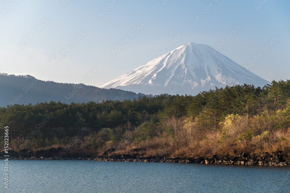 Lake Saiko with Mt.Fuji in morning, Yamanashi, Japan.