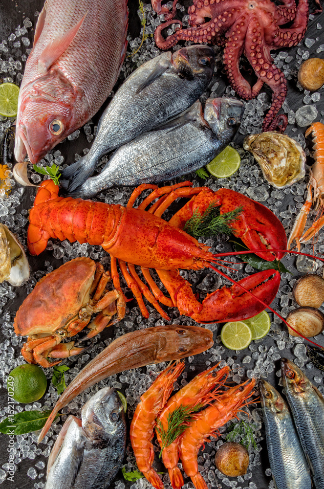 Many kind of seafood, served on crushed ice