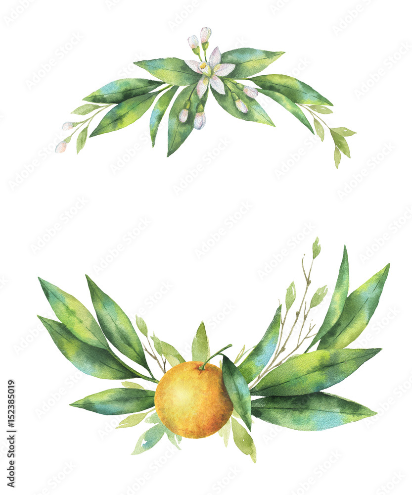 Watercolor hand drawn wreath fruit orange branch.