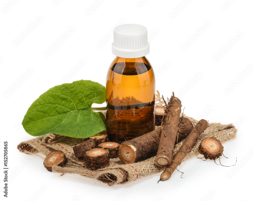 Burdock roots isolated on white background