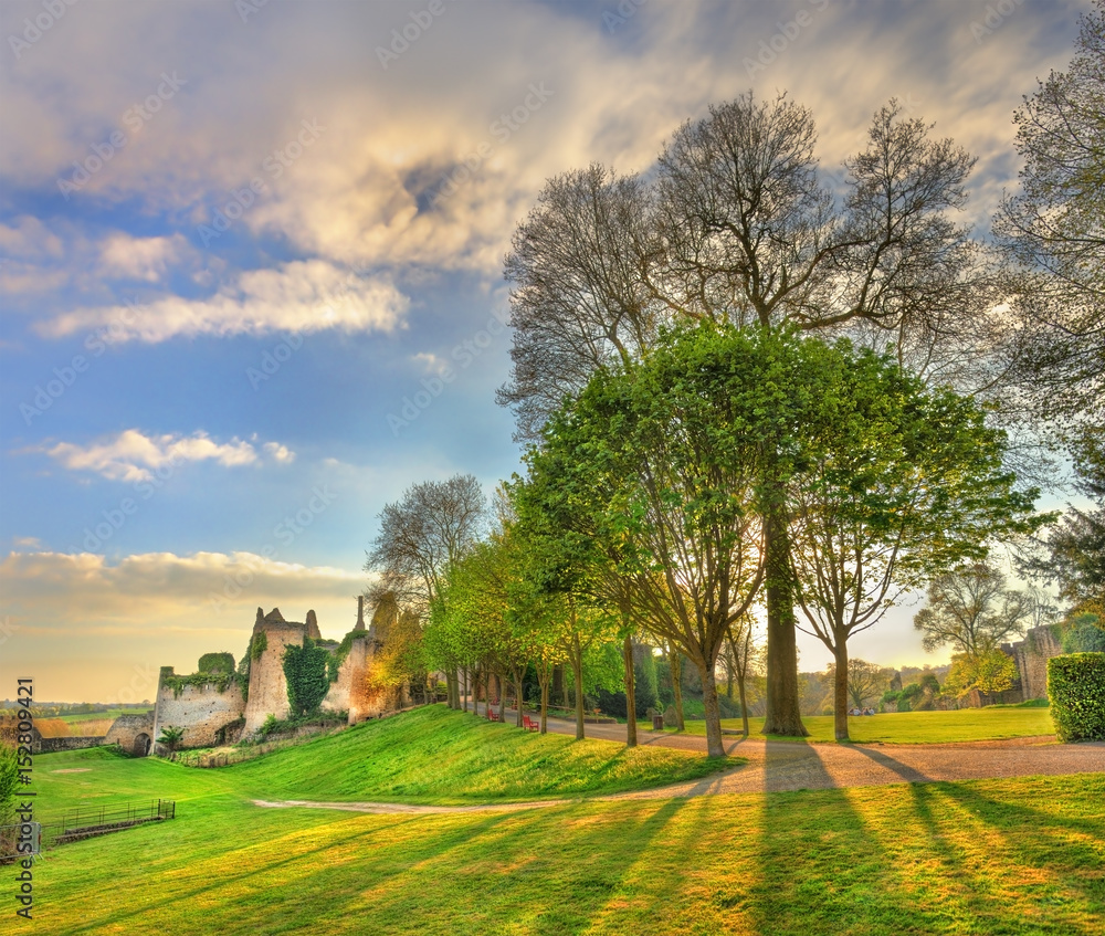 Trees in the park at the Chateau de Bressuire. France