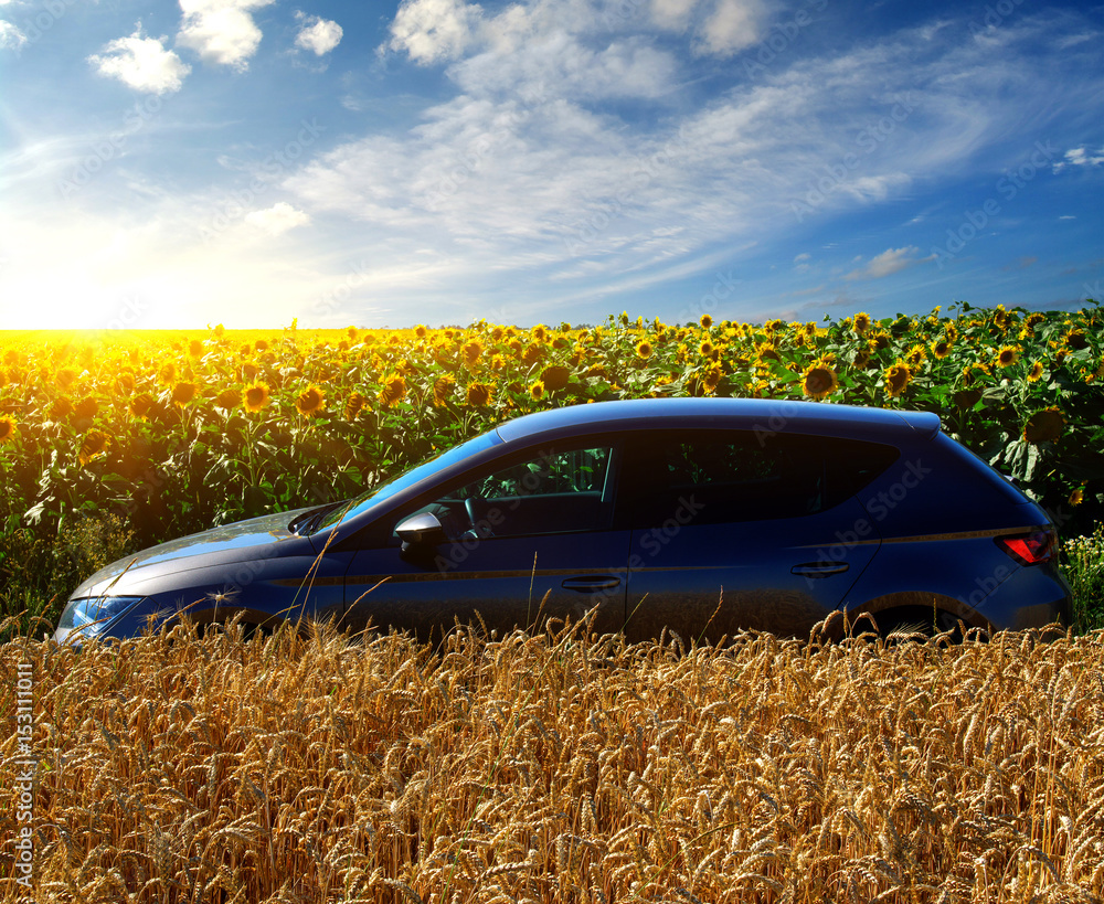 car on a field