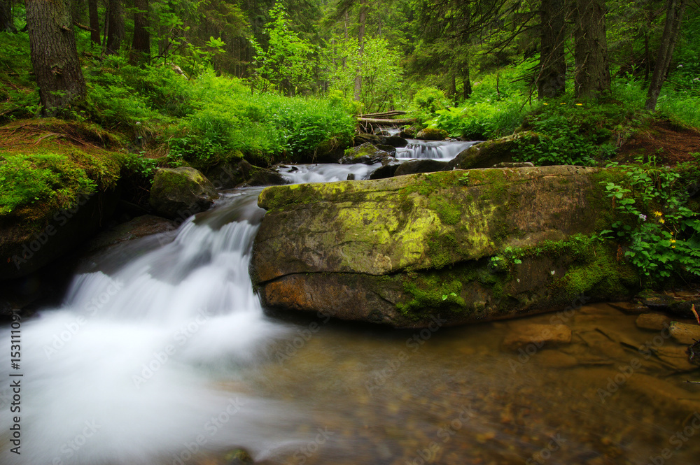 Creek in the woods