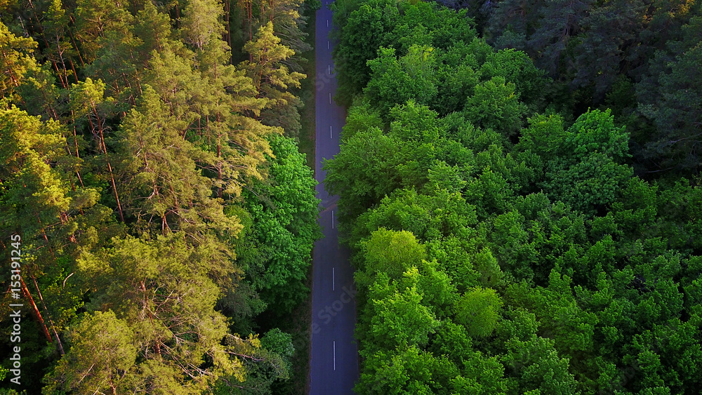 Road through the forest, aerial view