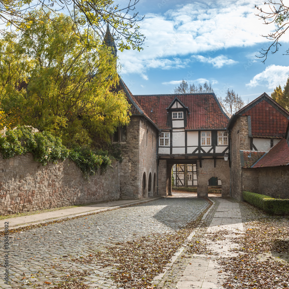 Half-timbered buildings along Kostergang at Riddagshausen in Fall with leaves on the ground. Braunsc