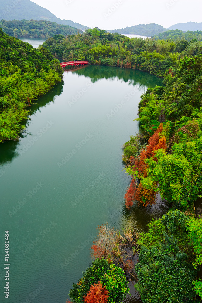 Tea valleys landscape