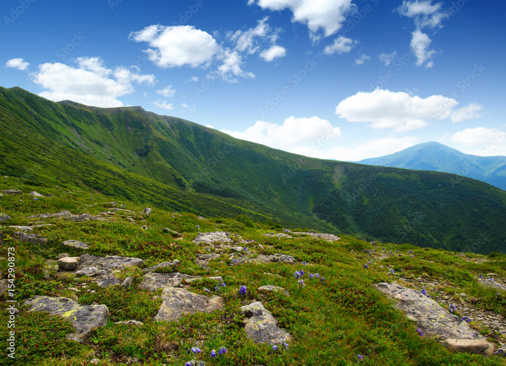 夏日山景