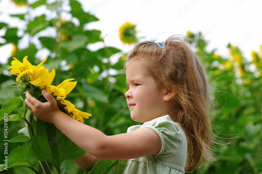  girl and sunflower on the field