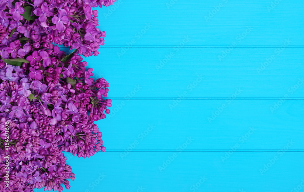  Lilac flowers on blue wooden background.