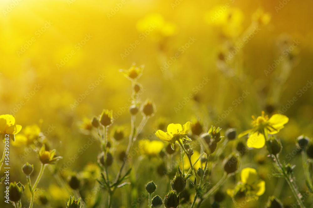 春暖花开