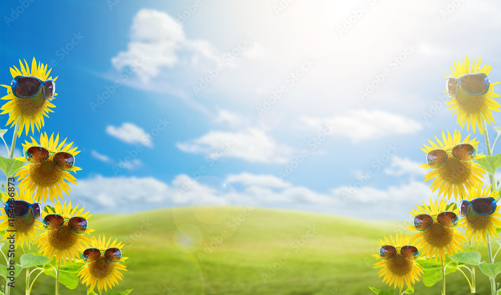 sunflowers with sunglasses in the green grass field on the sun bright sky and cloud background,conce