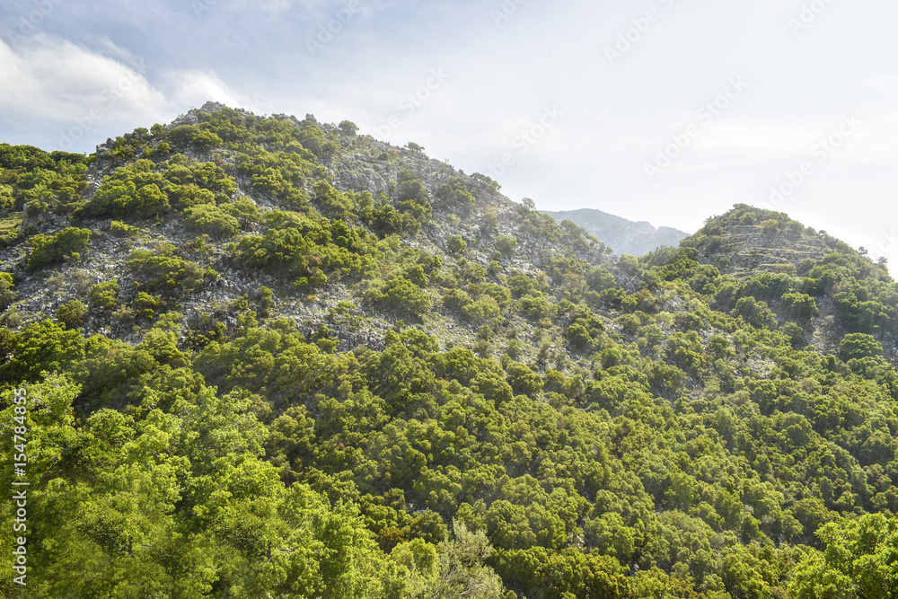 View of the mountains