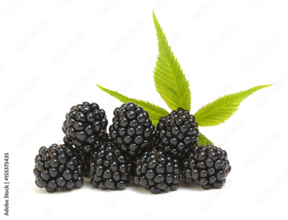 Blackberries with leaves