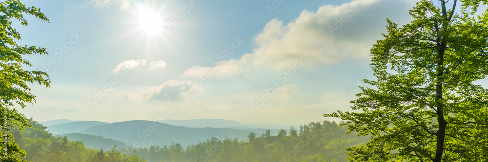 Wald Panorama mit Sonnenstrahlen