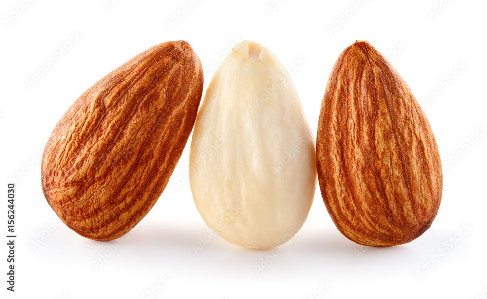 Closeup of almonds. Three nuts isolated on white background. Full depth of field.