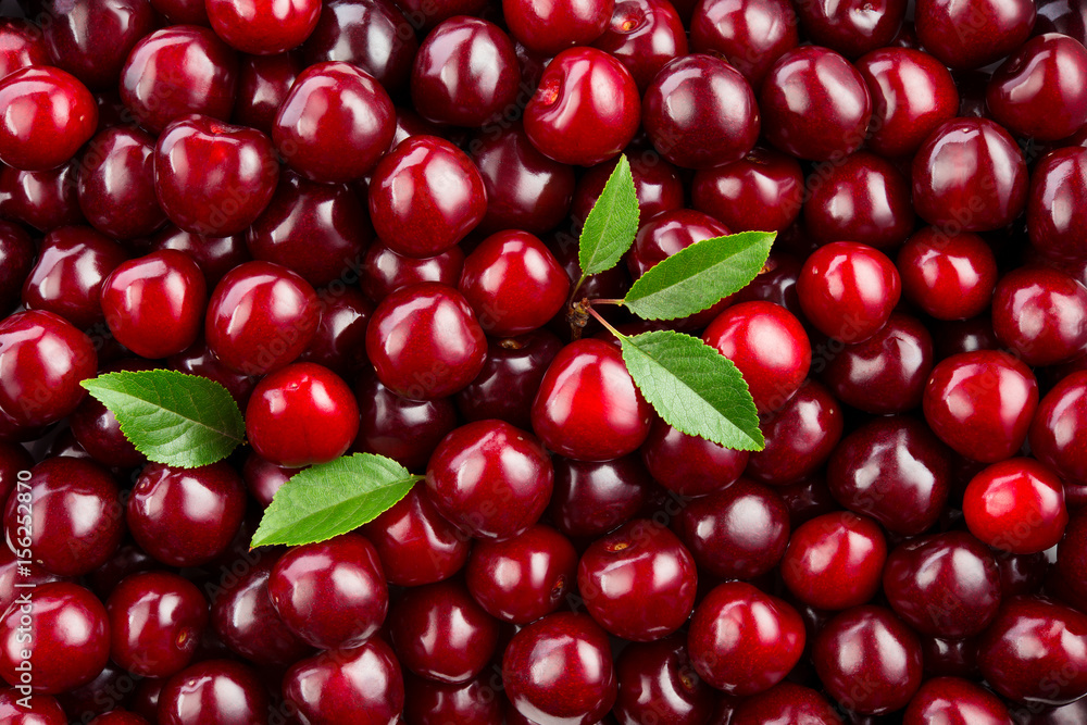 Cherry. Fresh organic berries with leaves macro. Fruit background