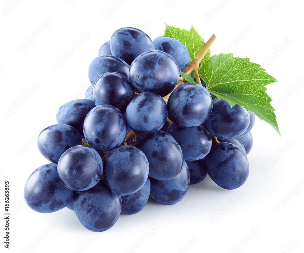 Dark blue grape with leaves isolated on white background. With clipping path. Full depth of field.