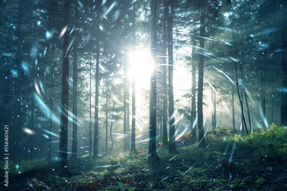 Fantasy blue green foggy forest fairytale with circle fireflies bokeh background. Color filter effec