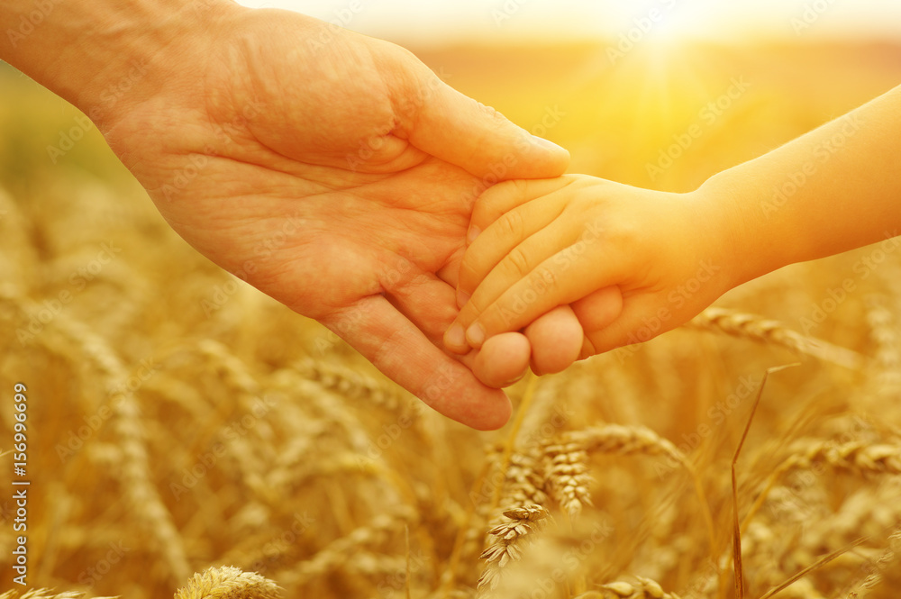 Hands of father and daughter on sun