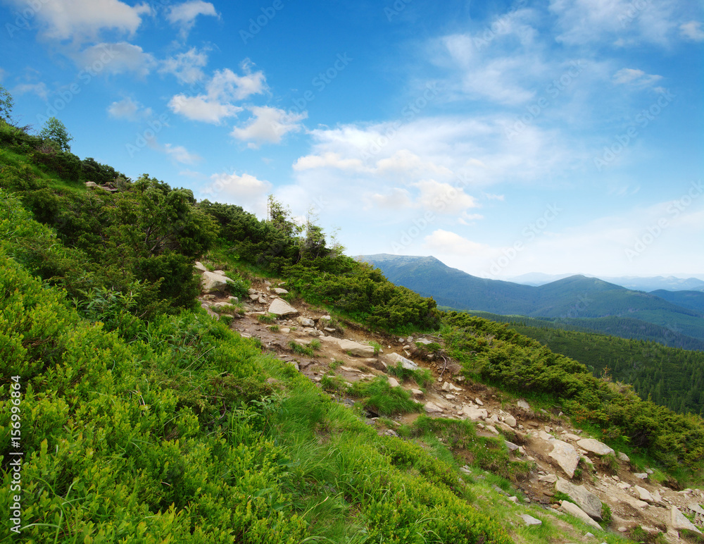 夏日山景