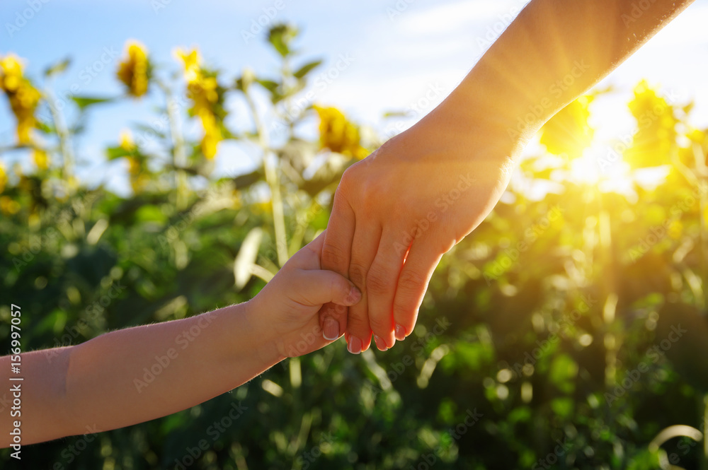 Hands on the field of sunflowers