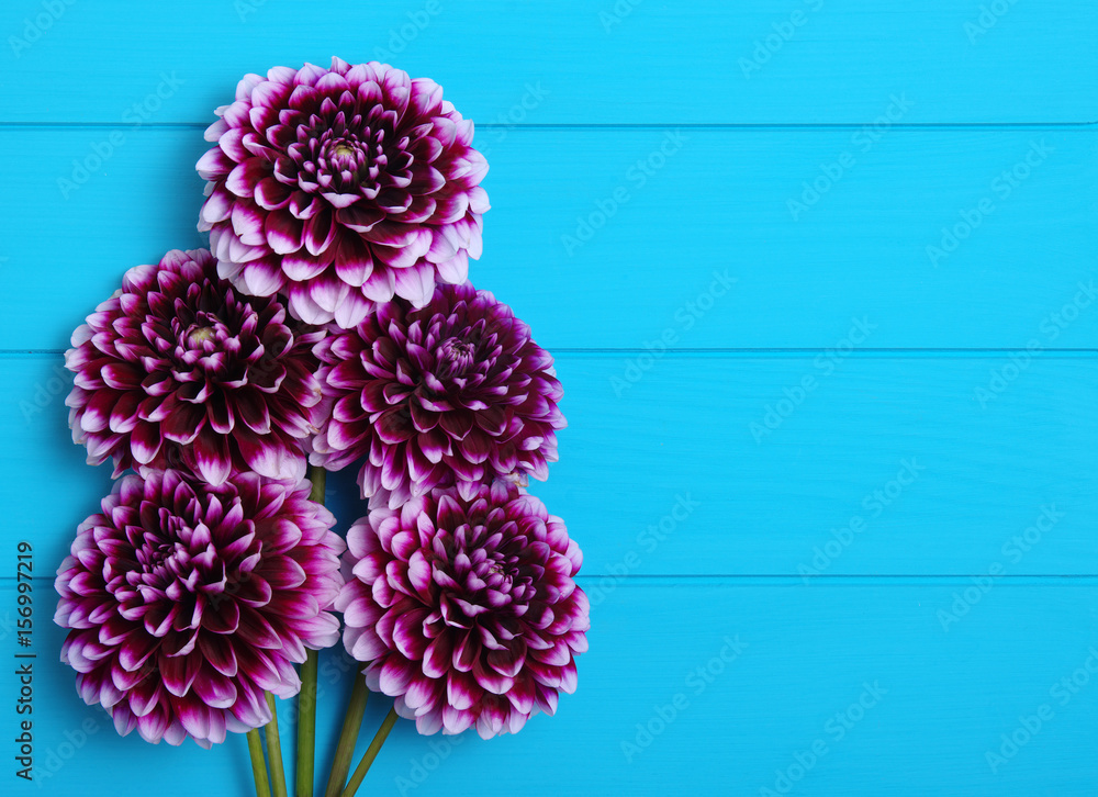  Flowers on blue painted wooden planks.