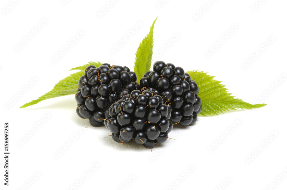 Closeup shot of fresh blackberries