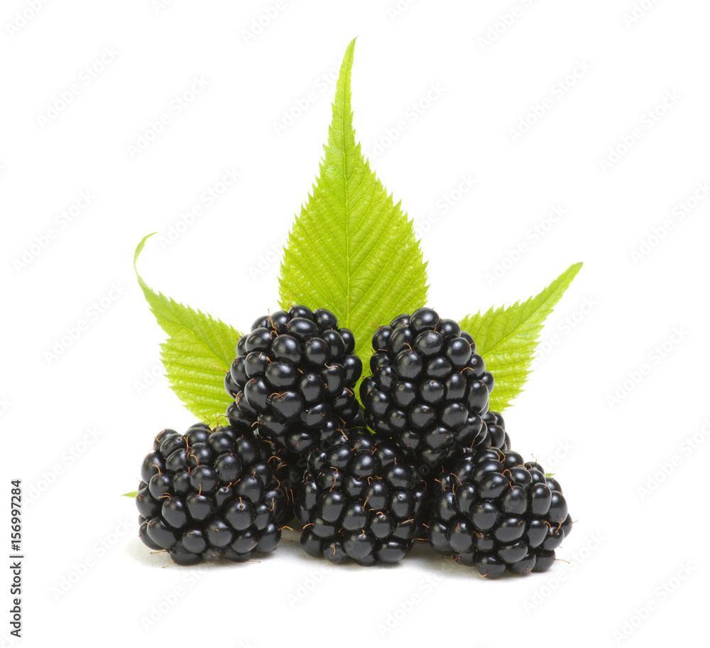 Blackberries with leaves