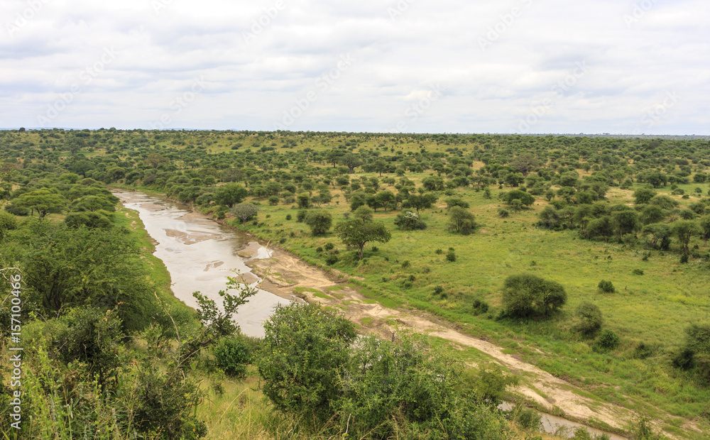 View of an typical African landscape with wildlife . 