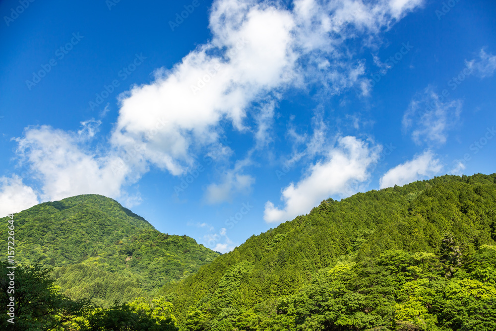 新緑の山