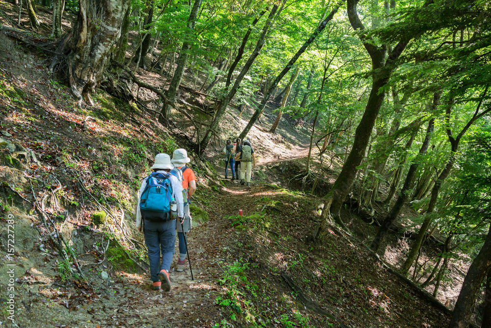 登山道