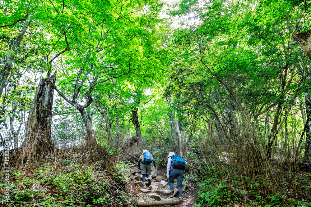 登山道