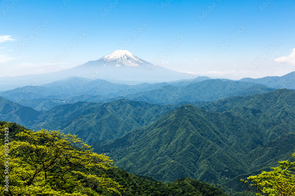 西丹沢から見る富士山