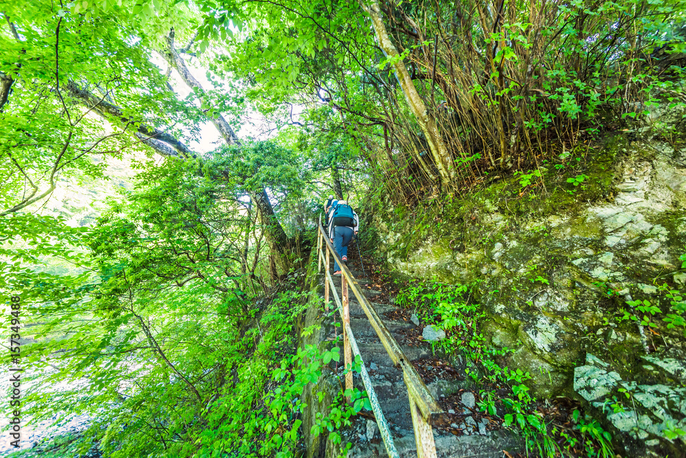 登山道