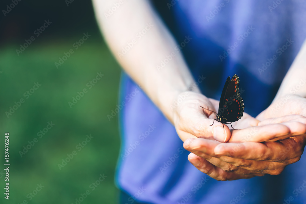 Butterfly perched on a mans hands