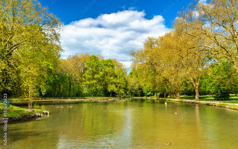 Pond at the Chateau de Cheverny, one of the Loire Valley castles in France