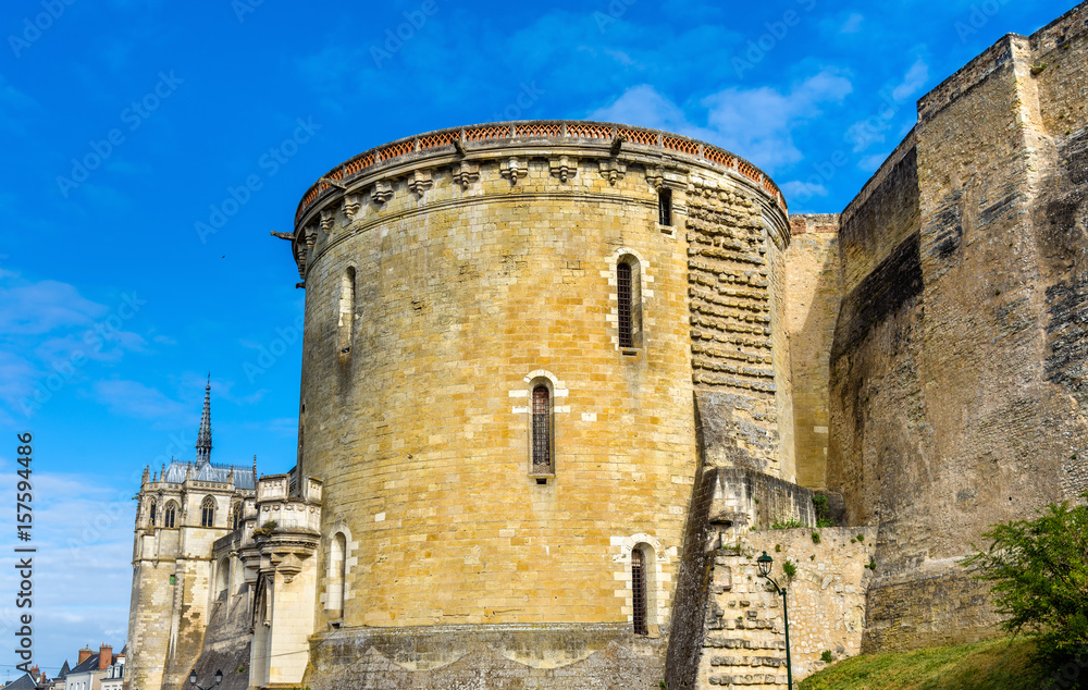 Chateau dAmboise, one of the castles in the Loire Valley - France