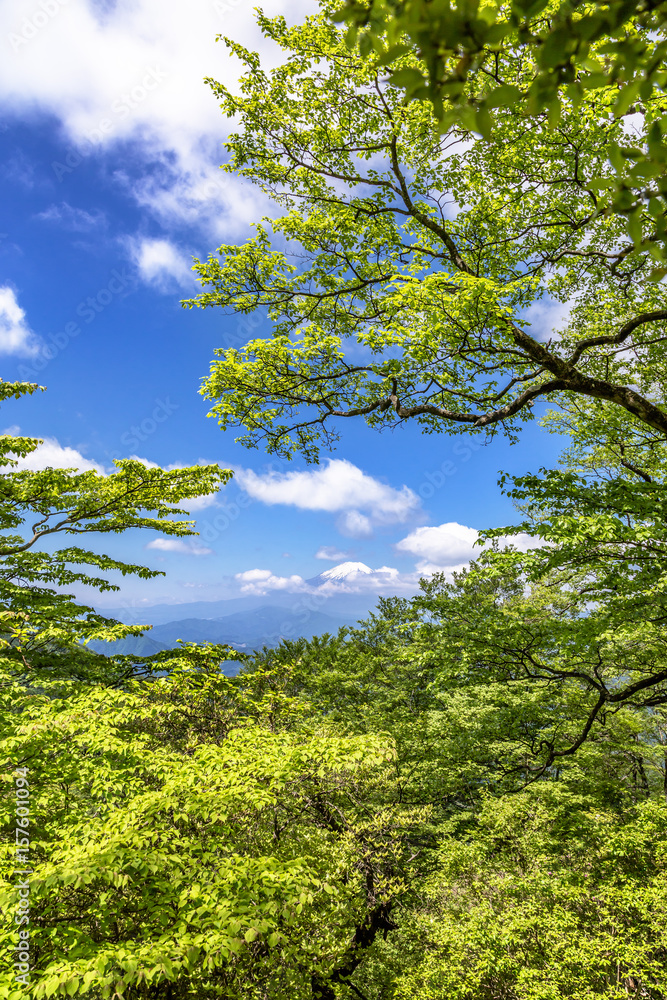 西丹沢から見る富士山