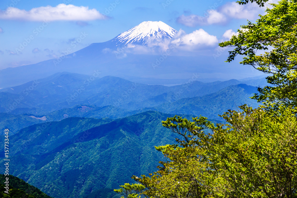 西丹沢から見る富士山