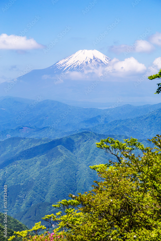 西丹沢から見る富士山